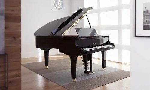 產品介紹 dkv系列 寰宇共曲,身臨琴境