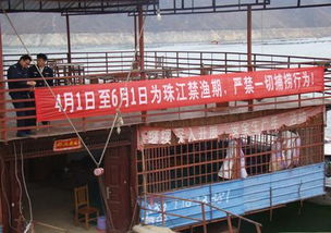 縣畜牧局多措并舉 強(qiáng)化禁漁期畜牧漁業(yè)飼料銷售管理