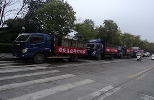 漁業(yè)增殖促生態(tài)，畜牧水產(chǎn)譜新篇——江西修水縣開展資源放流活動(dòng)助力產(chǎn)業(yè)發(fā)展